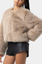 Load image into Gallery viewer, BLANK NYC Prime Asset Jacket