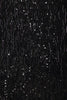 ASTR Emani Sequin Fringe Dress / Black
