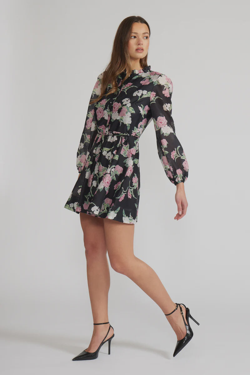 Lucy Paris Nina Mini Dress / Black Floral