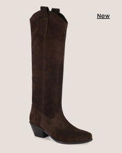 Load image into Gallery viewer, Diba True Ame Thyst Suede Boots / Dark Brown
