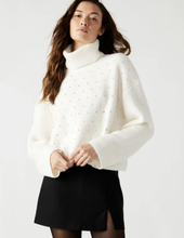 Load image into Gallery viewer, Steve Madden Astro Sweater
